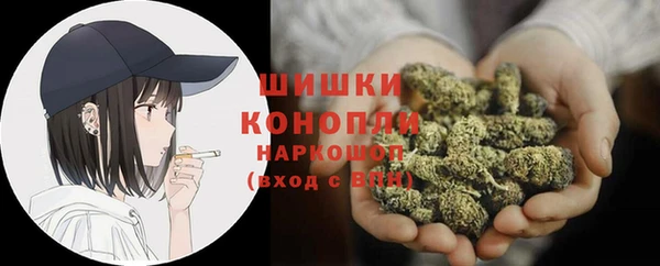 прущие крисы Ельня