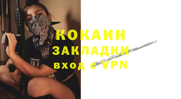 прущие крисы Ельня