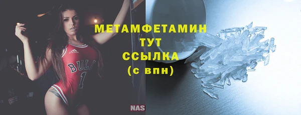 прущие крисы Ельня
