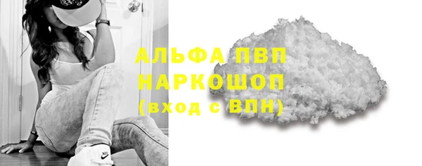 прущие крисы Ельня