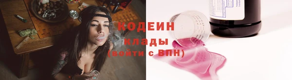 прущие крисы Ельня