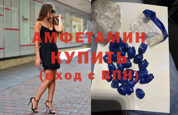 прущие крисы Ельня