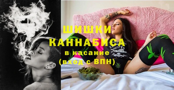 прущие крисы Ельня