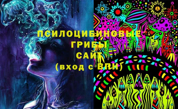мяу мяу мука Елизово