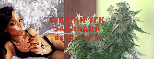 прущие крисы Ельня