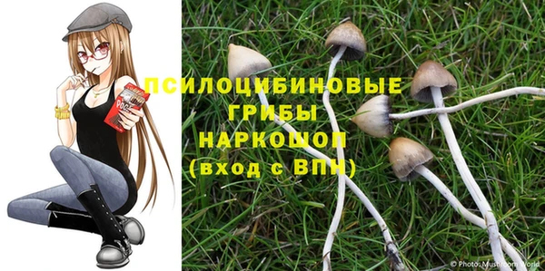 прущие крисы Ельня