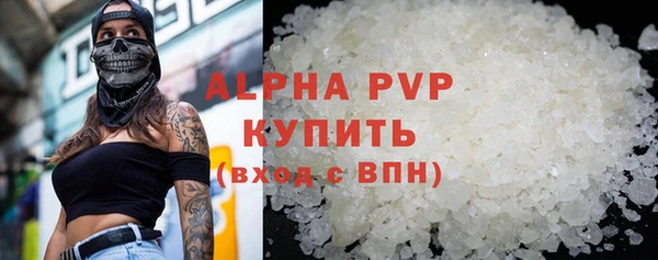 прущие крисы Ельня