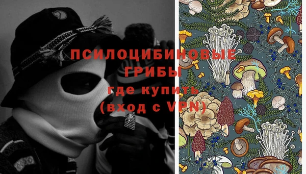 мяу мяу мука Елизово