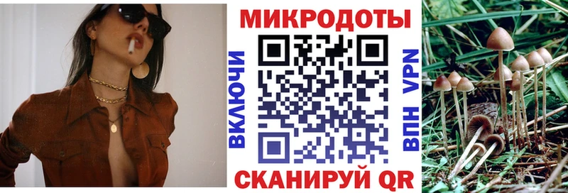 omg   Моршанск  Галлюциногенные грибы GOLDEN TEACHER 